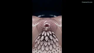 Preview at 00:14