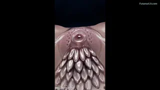 Preview at 00:27
